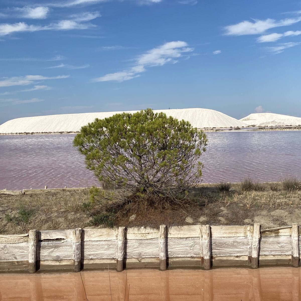 Aigues-Mortes, Salins and&nbsp;beyond.