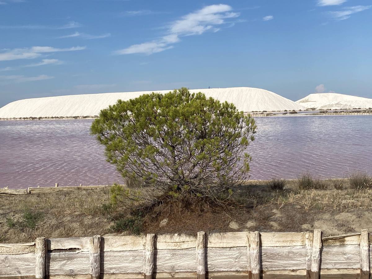 Aigues-Mortes, Salins and&nbsp;beyond.