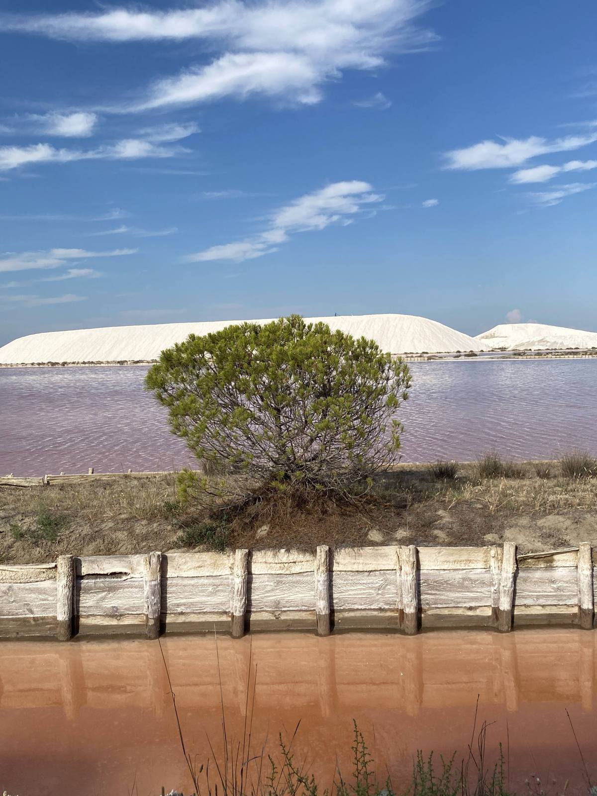 Aigues-Mortes, Salins and&nbsp;beyond.